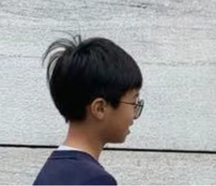 图片展示